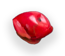 Grain-rouge